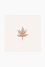 הדפס - Leaf