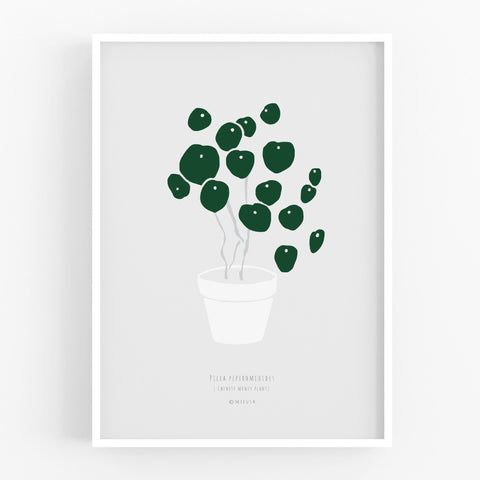 הדפס - Pilea peperomioides - Grey