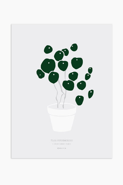 הדפס - Pilea peperomioides - Grey