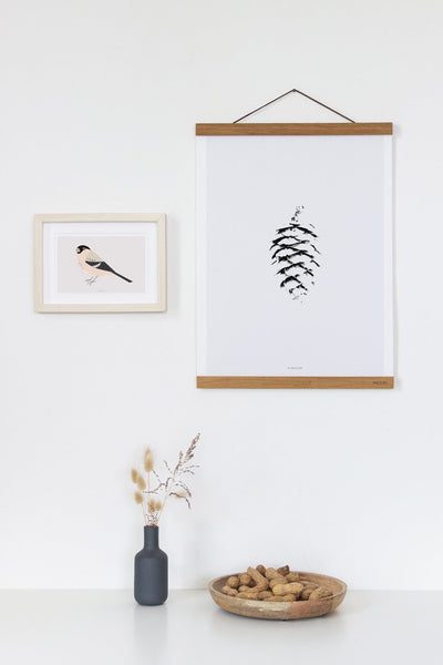 הדפס נייר - Acorn