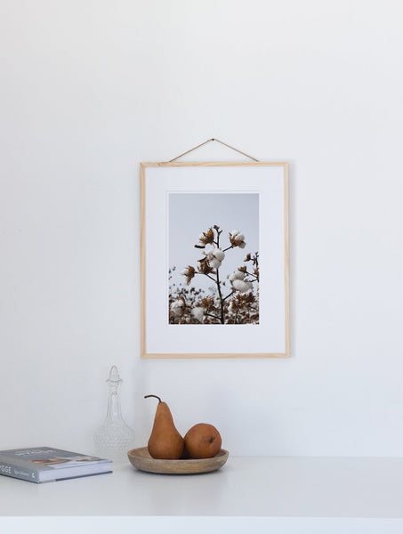 הדפס צילום - Cotton