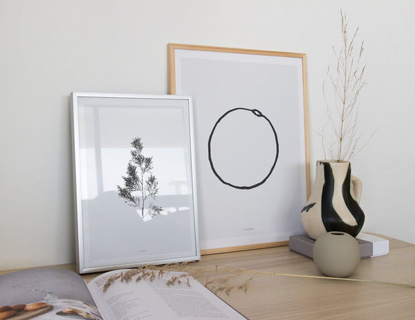 הדפס - Cupressus