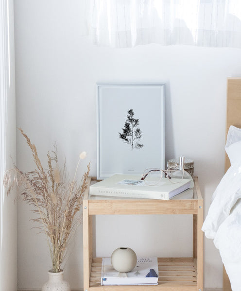 הדפס - Cupressus