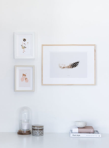 הדפס צילום - Feather