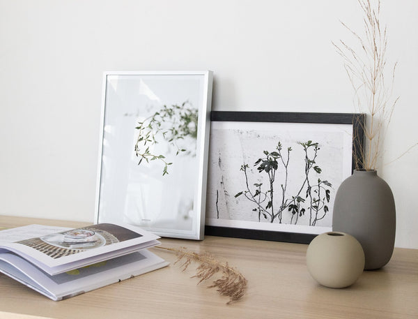 הדפס צילום - Thyme