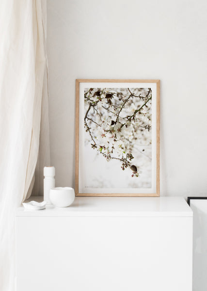 הדפס צילום - Almond Tree No.1