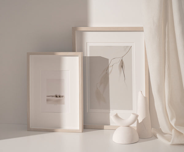 הדפס צילום - Avena Sativa