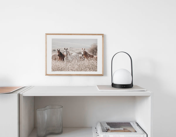 הדפס צילום - Horses