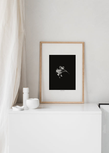 הדפס צילום - Black Bloom Negative