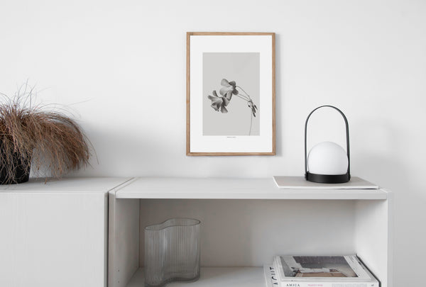 הדפס צילום - Grey Bloom Negative