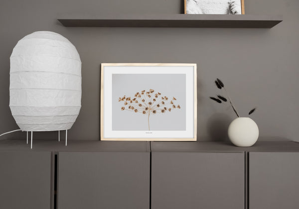 הדפס צילום - Wild Carrot