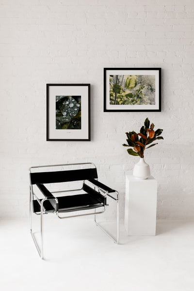 הדפס צילום - Chasing The Light