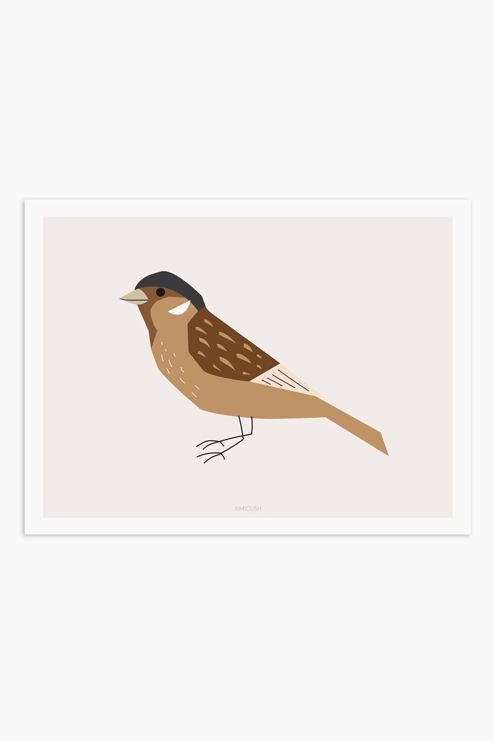 הדפס - Bird - Sparrow