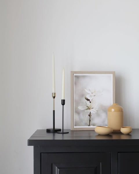 הדפס צילום - Almond Tree No.2