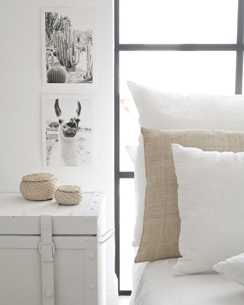 הדפס צילום - Llama