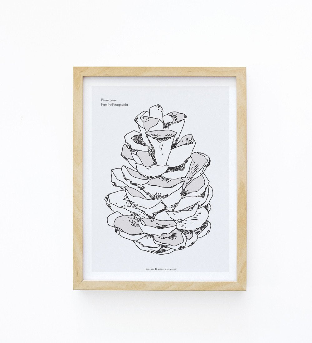 הדפס - Pine Cone