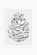הדפס - Pine Cone