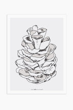 הדפס - Pine Cone