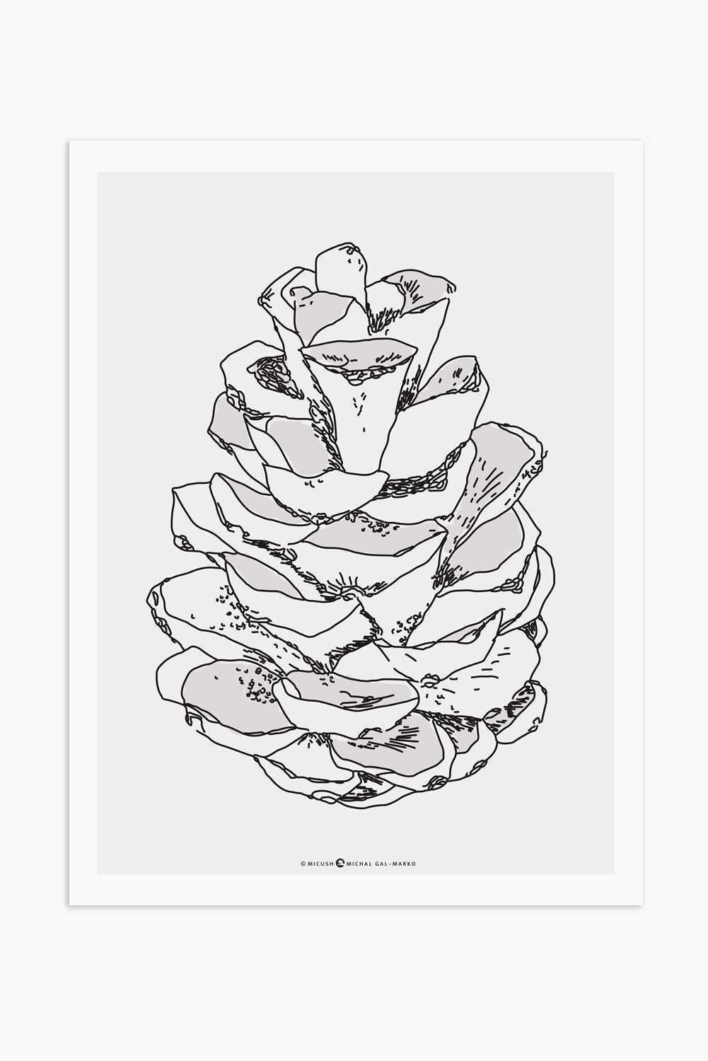 הדפס - Pine Cone