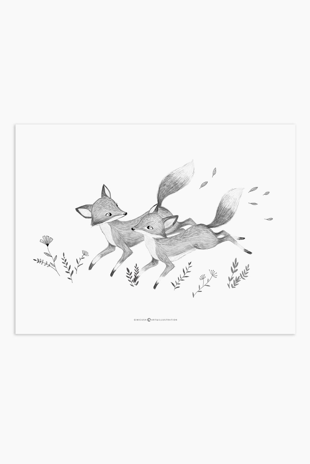 הדפס - Foxes